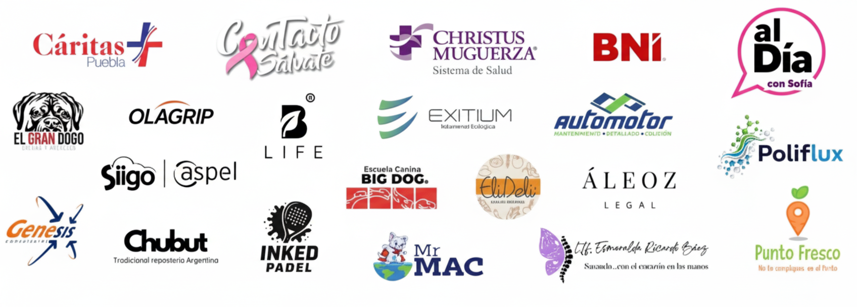 Patrocinadores Torneo Rosa